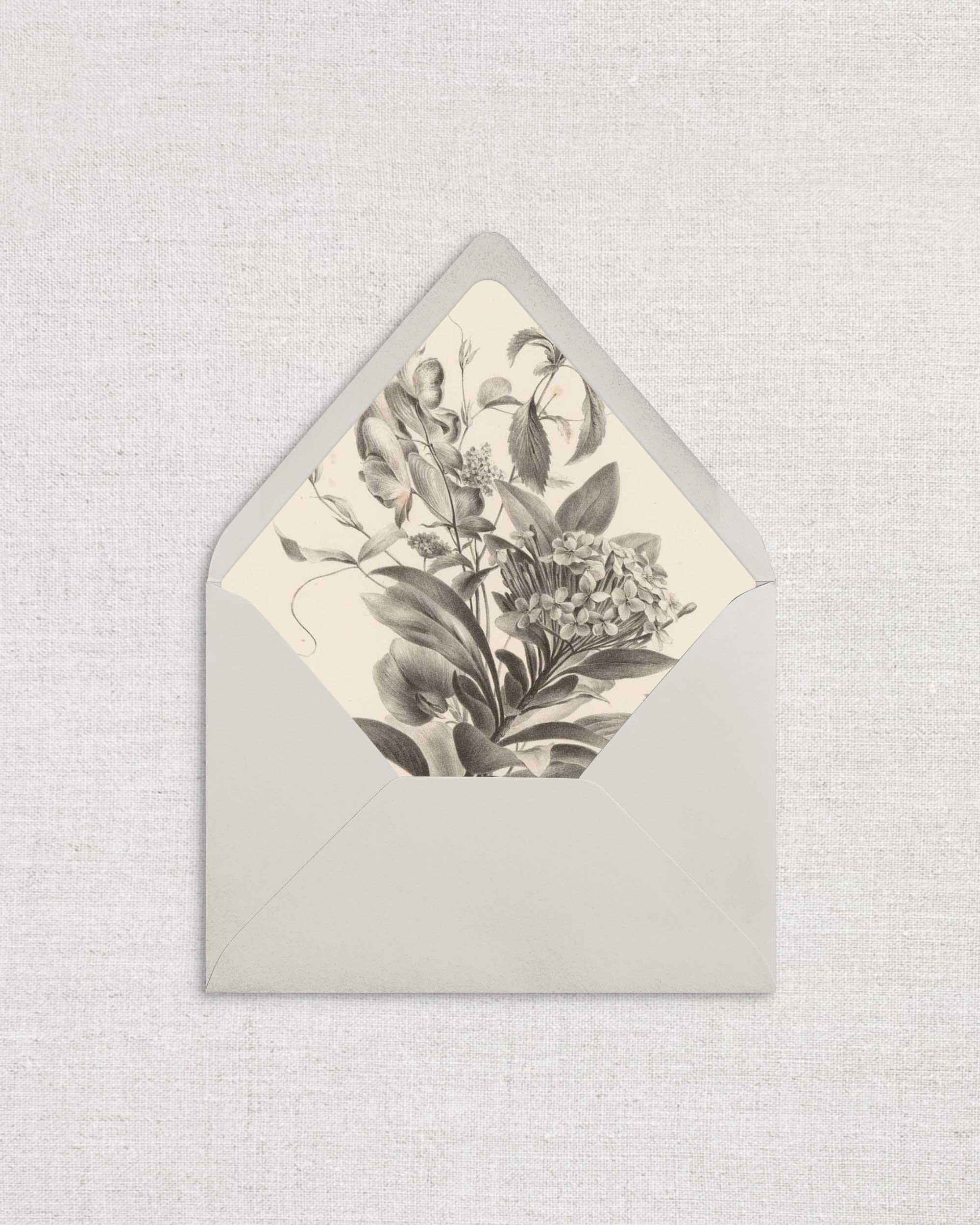 Hydrangea-StudyLiner-.jpg