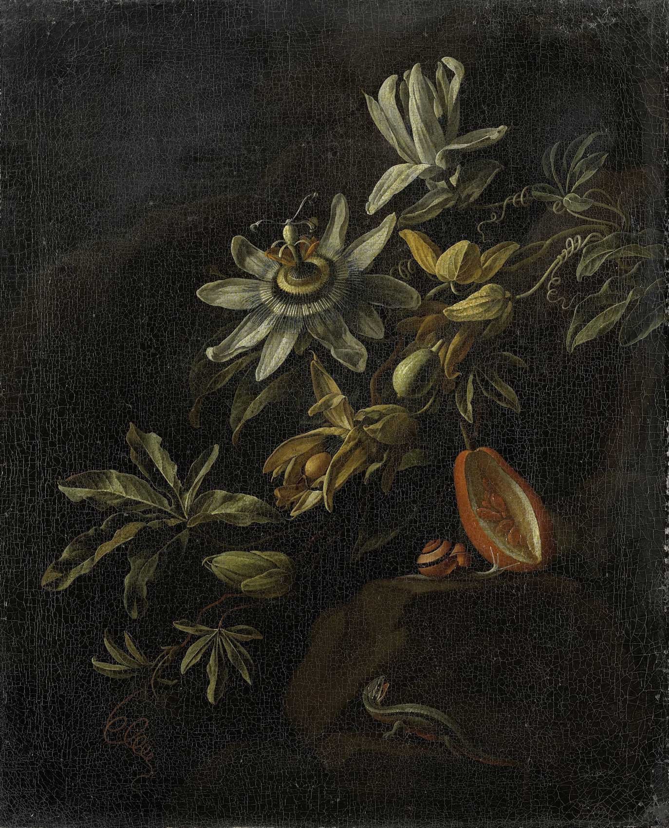 Still-Life-PassionflowerWS.jpg