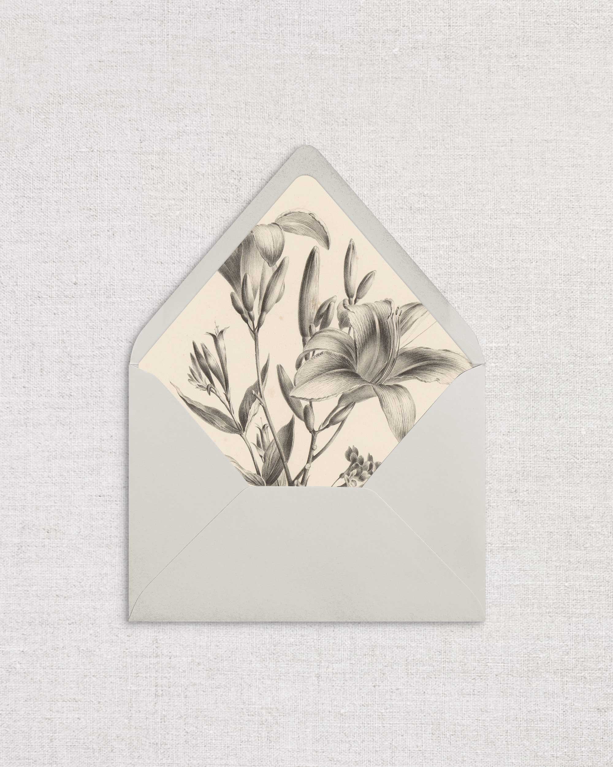 Lily-Study-Liner-.jpg