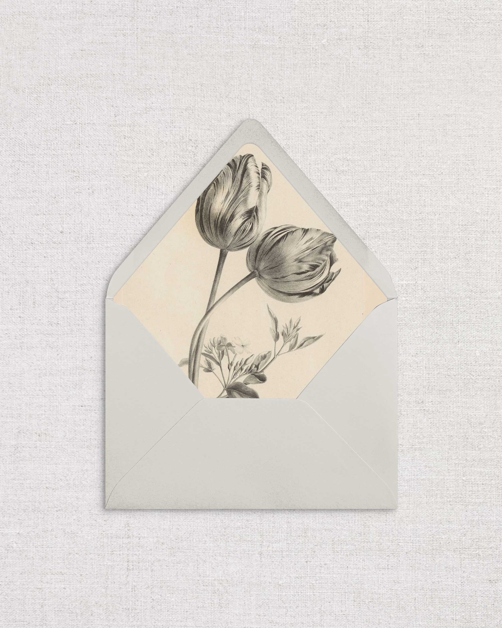 Tulip-StudyLiner.jpg