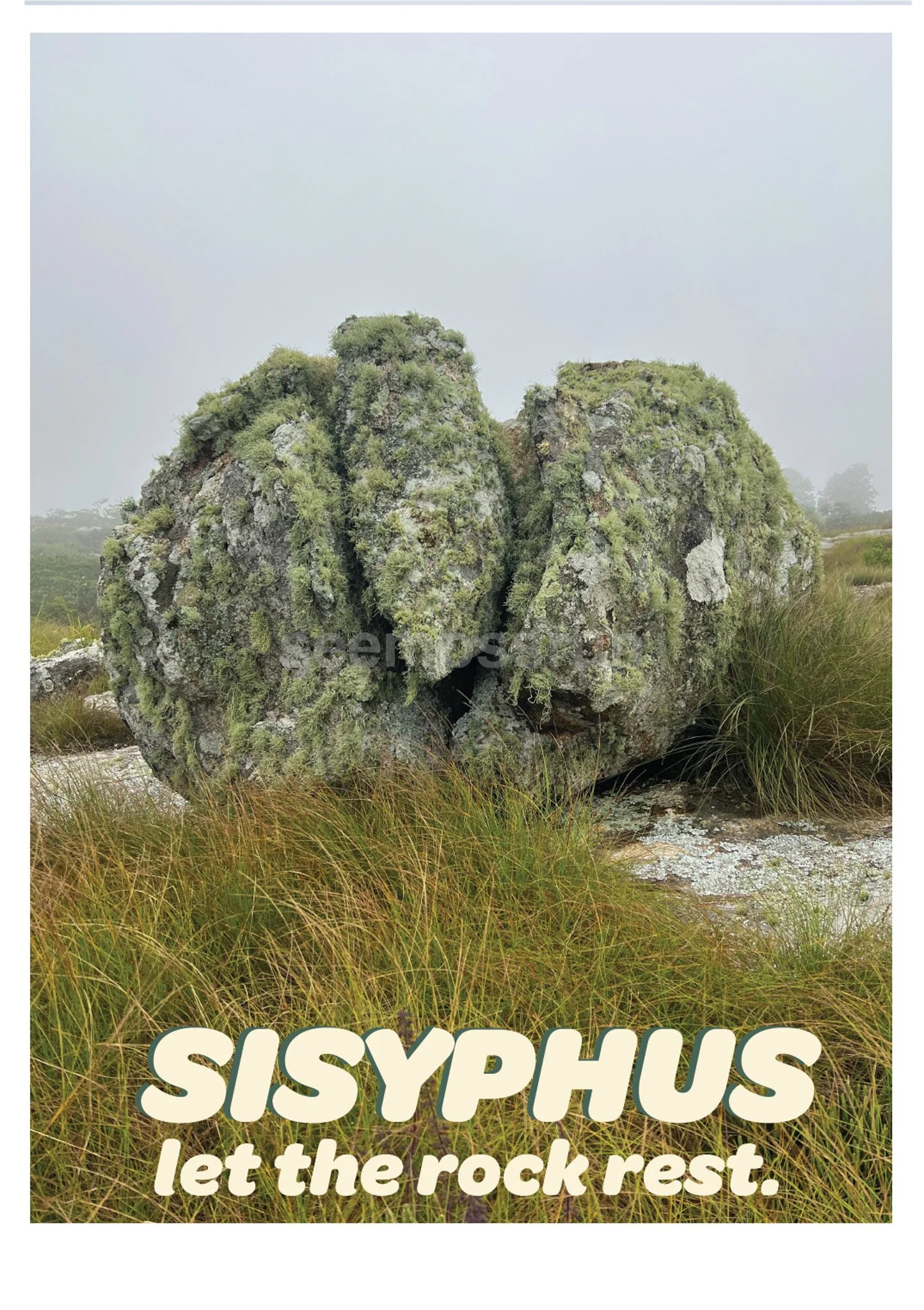  amidst the mist | Put the rock down  