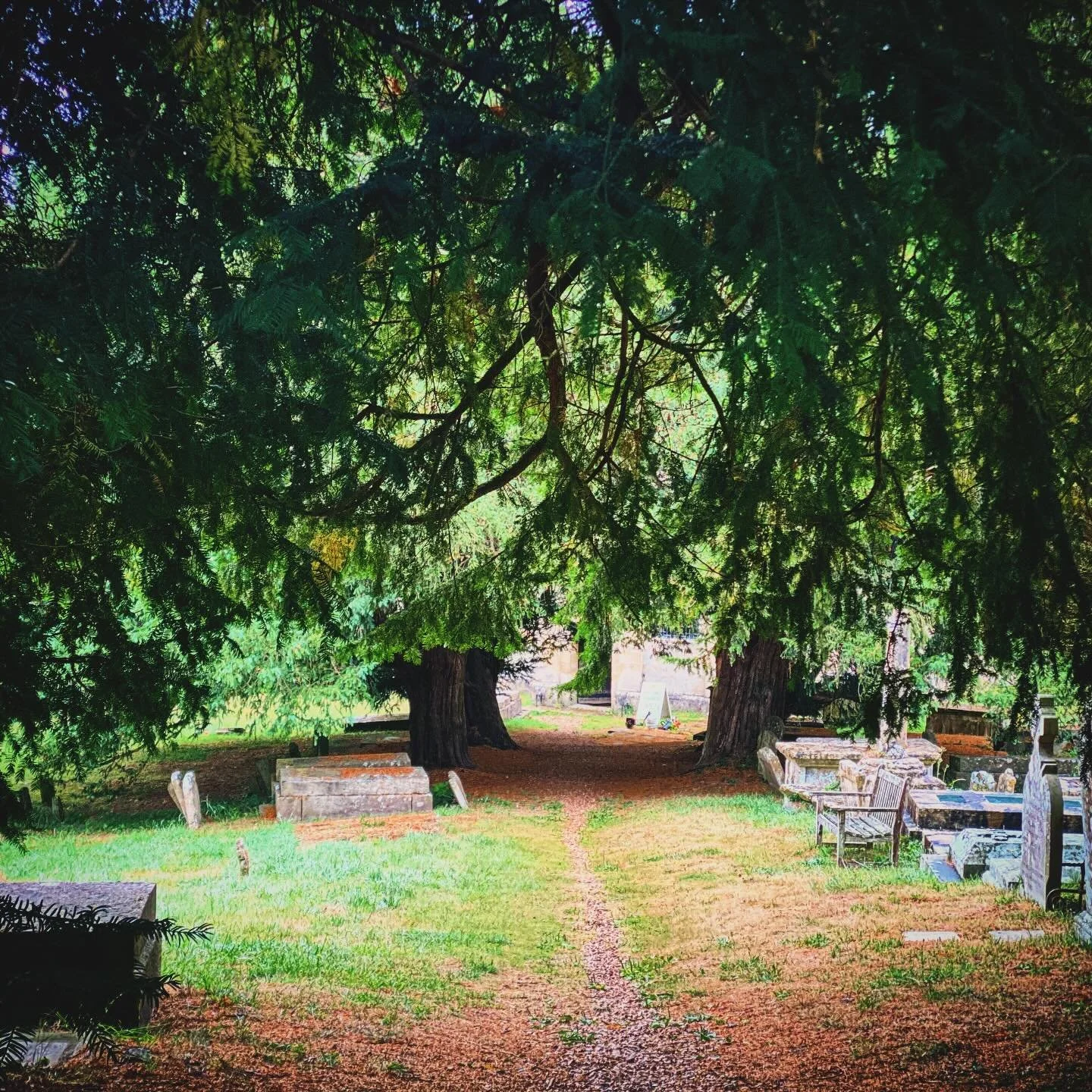 The grief of an ending. Walking into church for a Leavers' Service this morning - lump in my throat, heaviness in my heart. Three children leaving a school tomorrow that they have loved so much and which has been in all our lives for over a decade. A