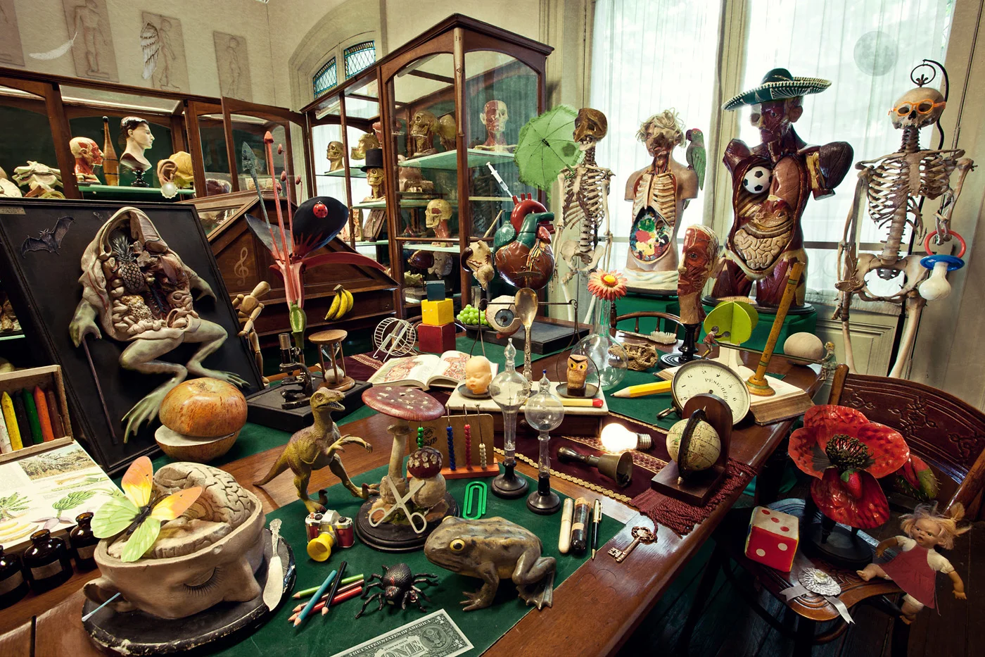 Museo Pedagógico