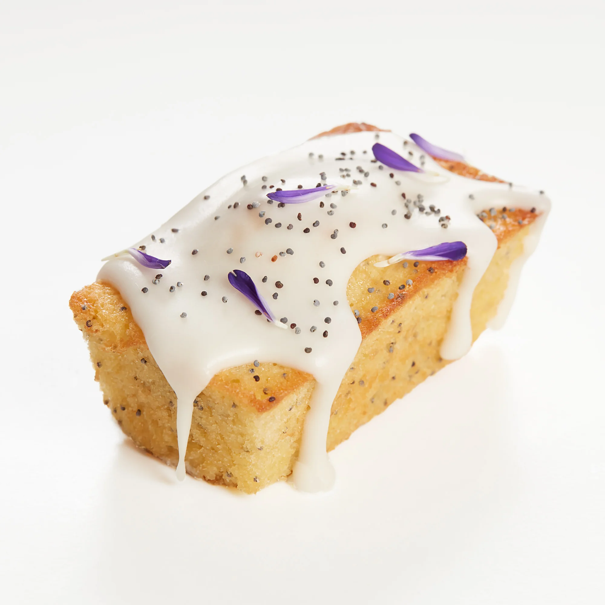 Budin_Limon_UC_9673.jpg