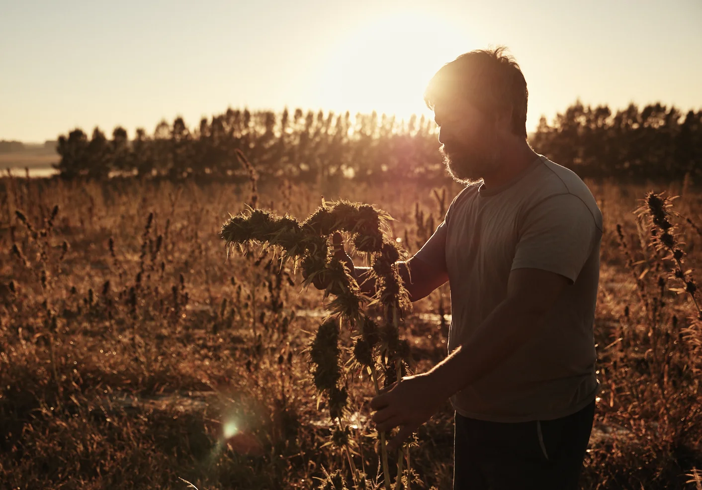 Storytelling for Auxly Cannabis Group in Uruguay
The Canadian company has a couple of sites where they produce medicinal marijuana.