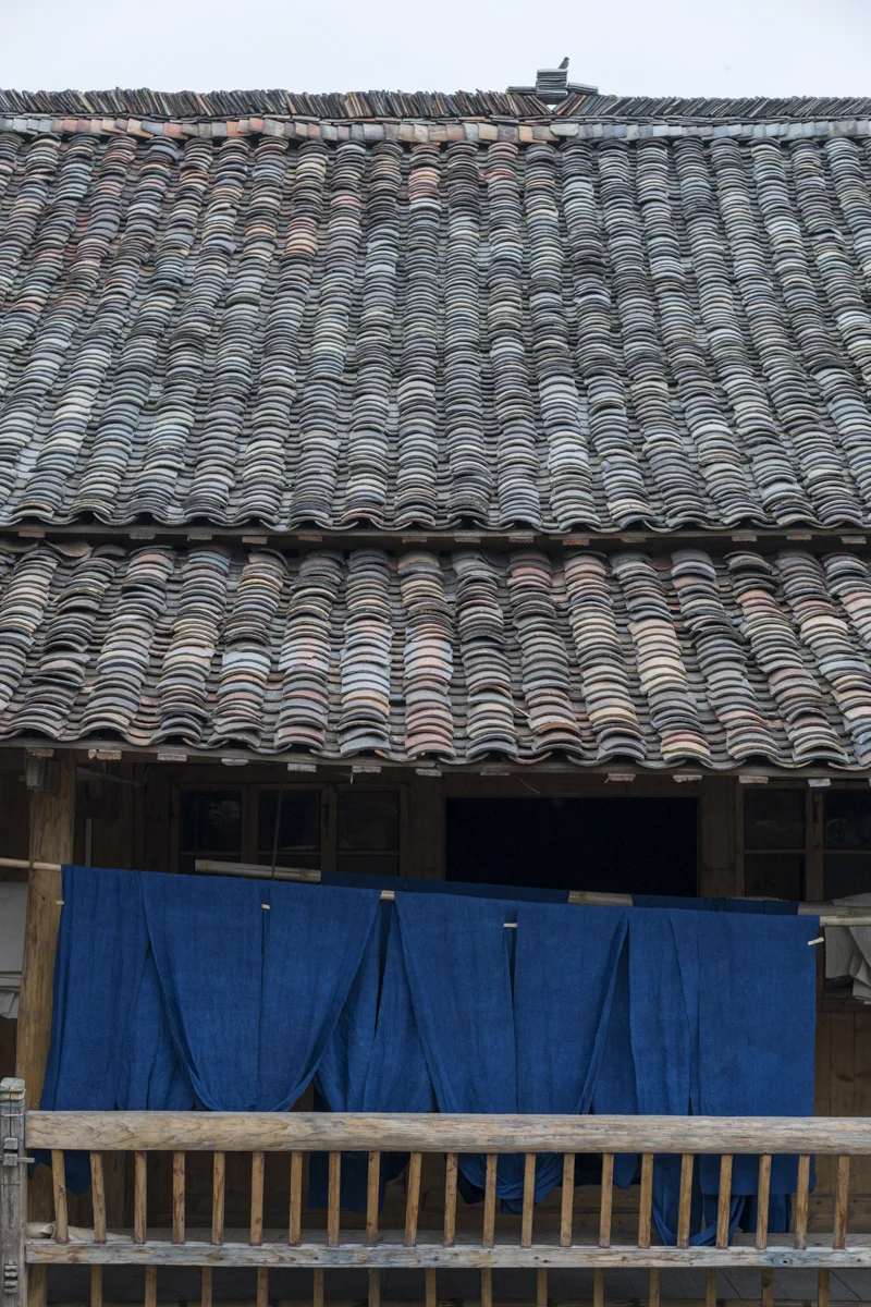 DSC07988.jpg