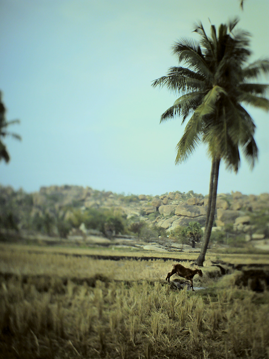 PICT1767-Hampi.jpg