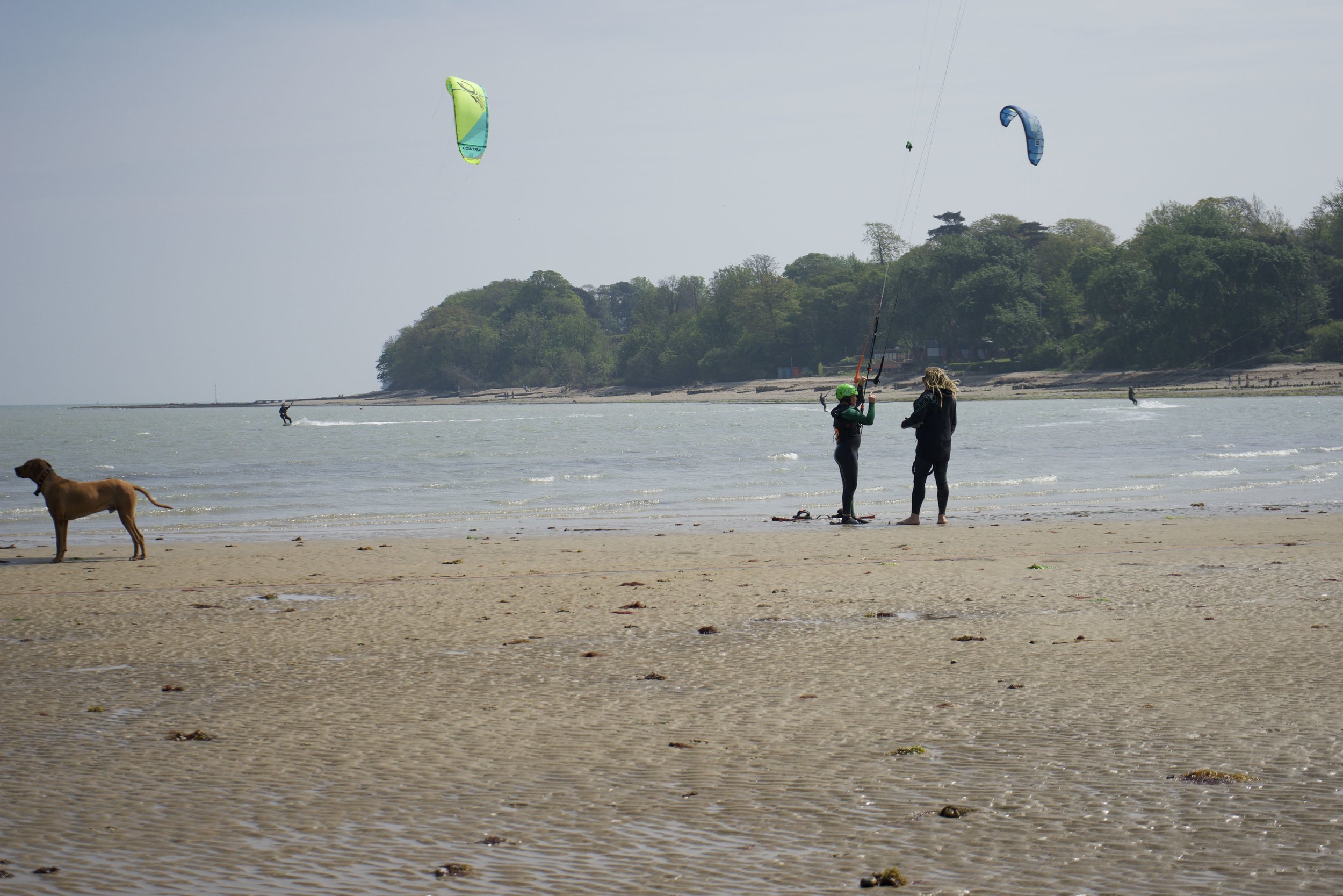 DSC00986.jpg