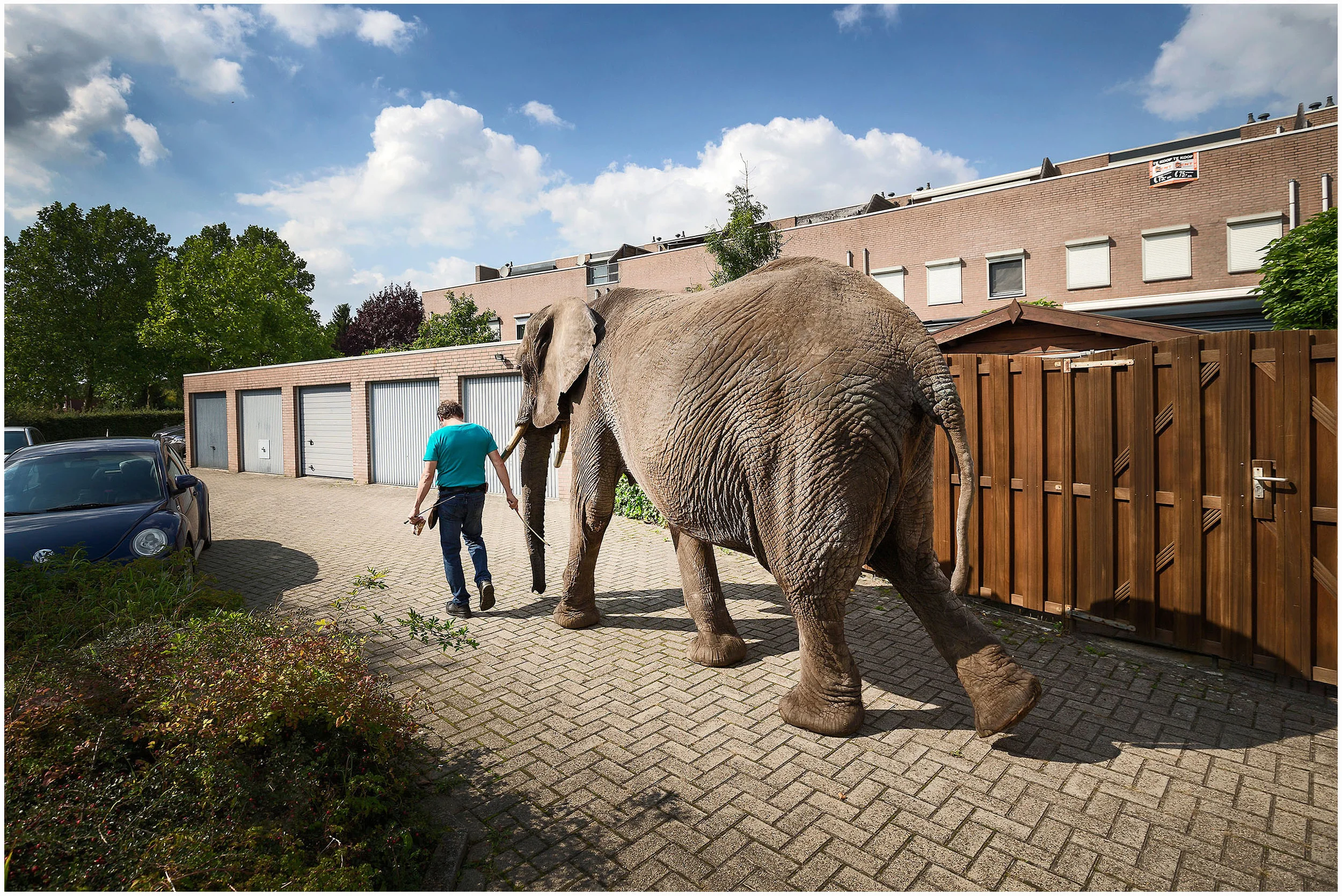 Circusolifant Buba en de familie Freiwald in de laatste dagen voor dat het verbod op circusdieren ingaat.