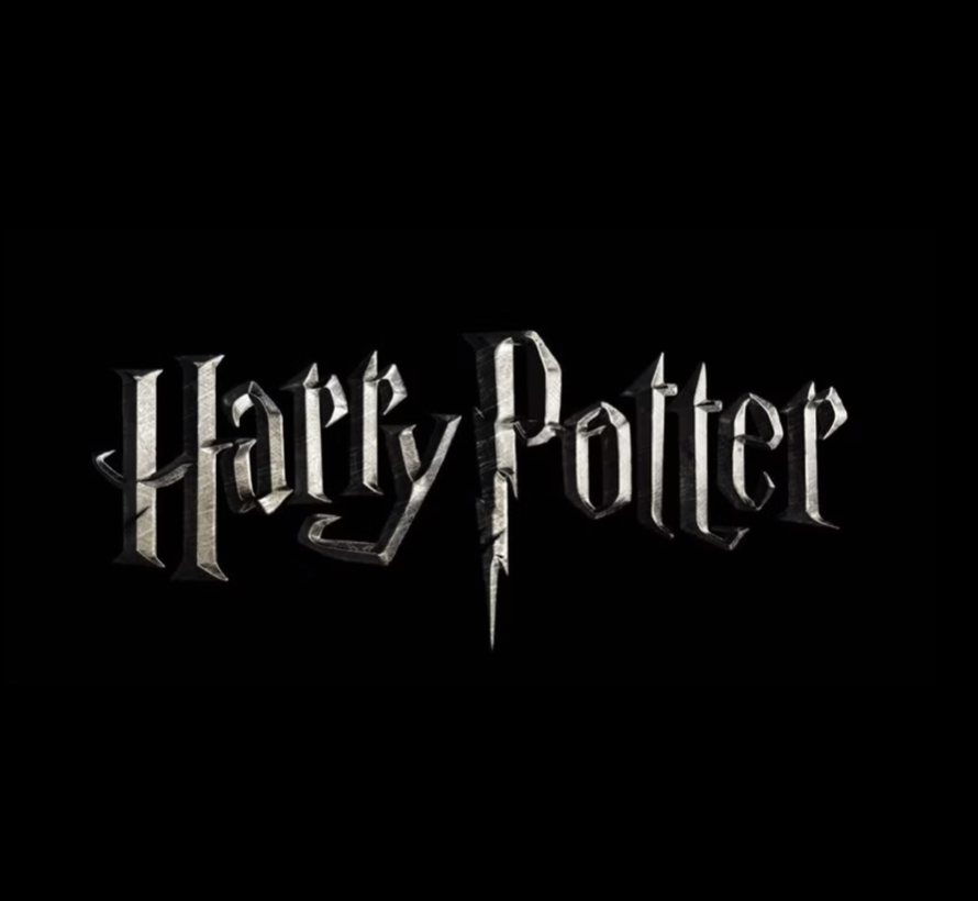 15. the wizarding world