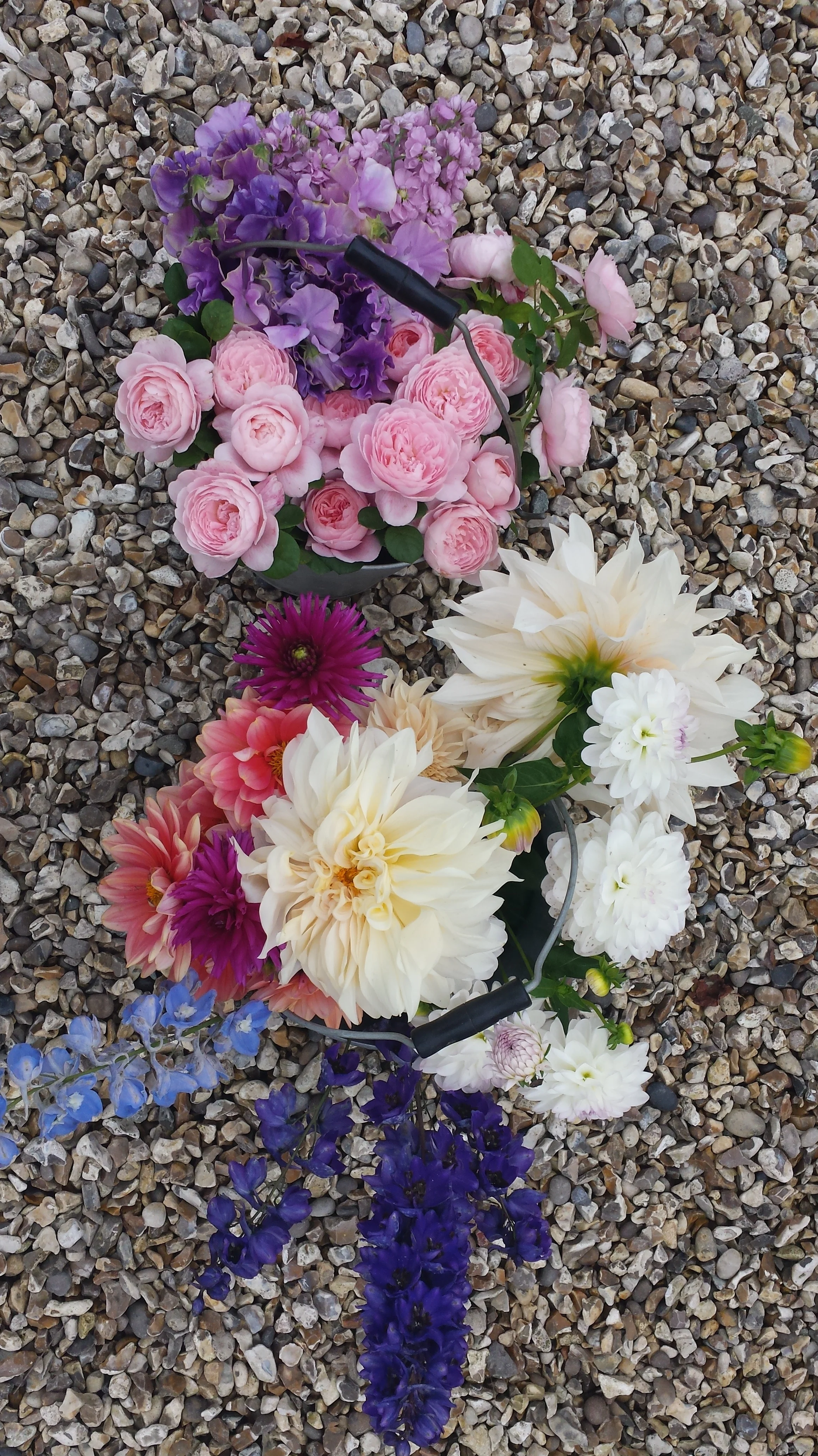 2015-10-05 14.23.40.jpg