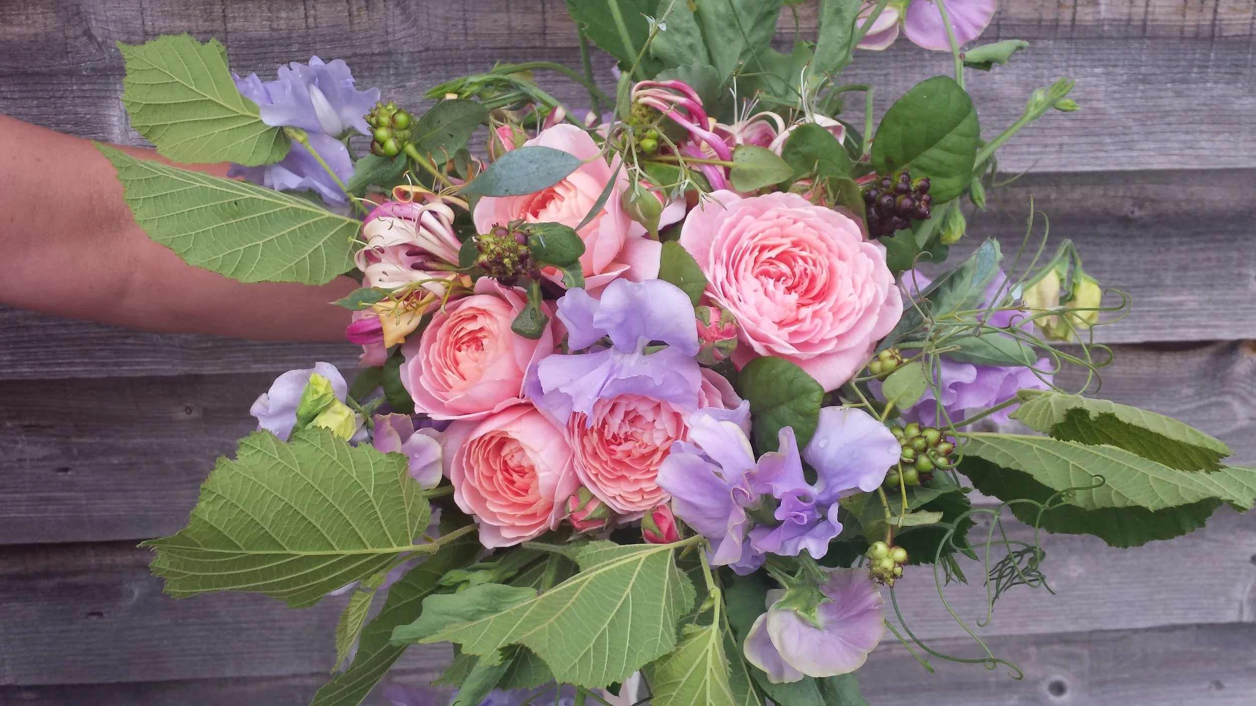 20160825_153913.jpg