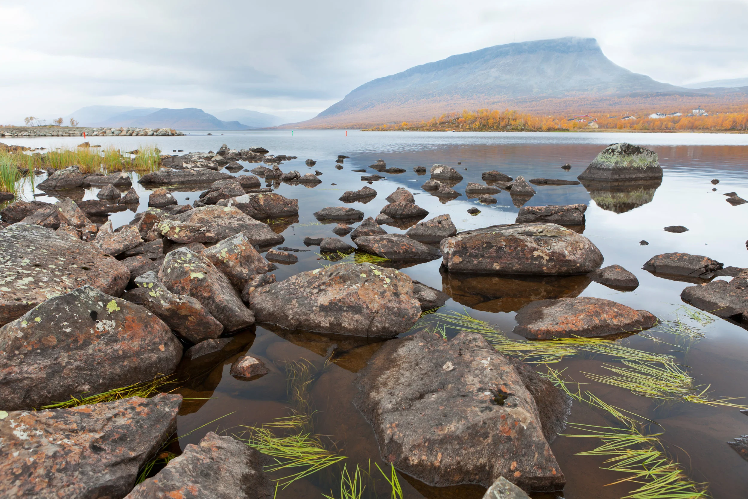 Photo: Soili Jussila. Image provided by Shutterstock. 
