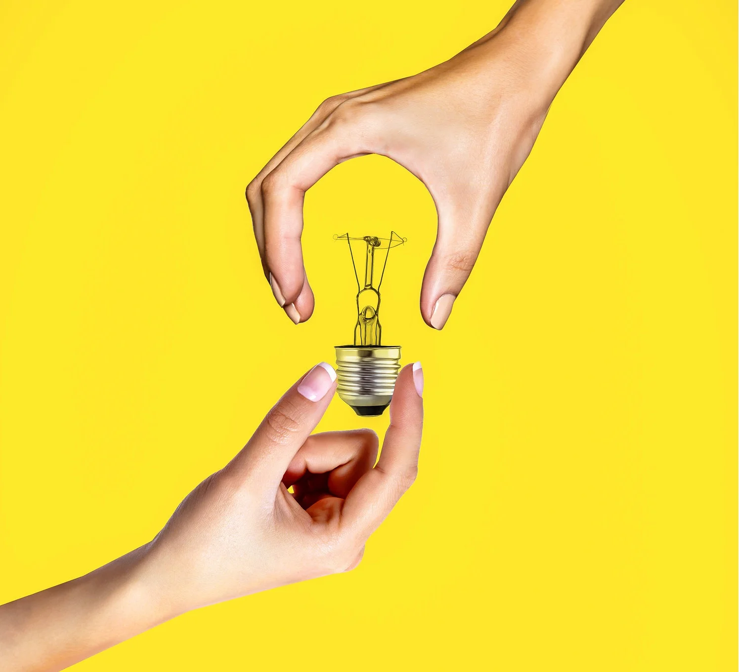bulb.jpg