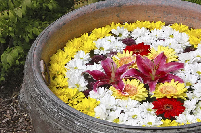 asianflowers.jpg
