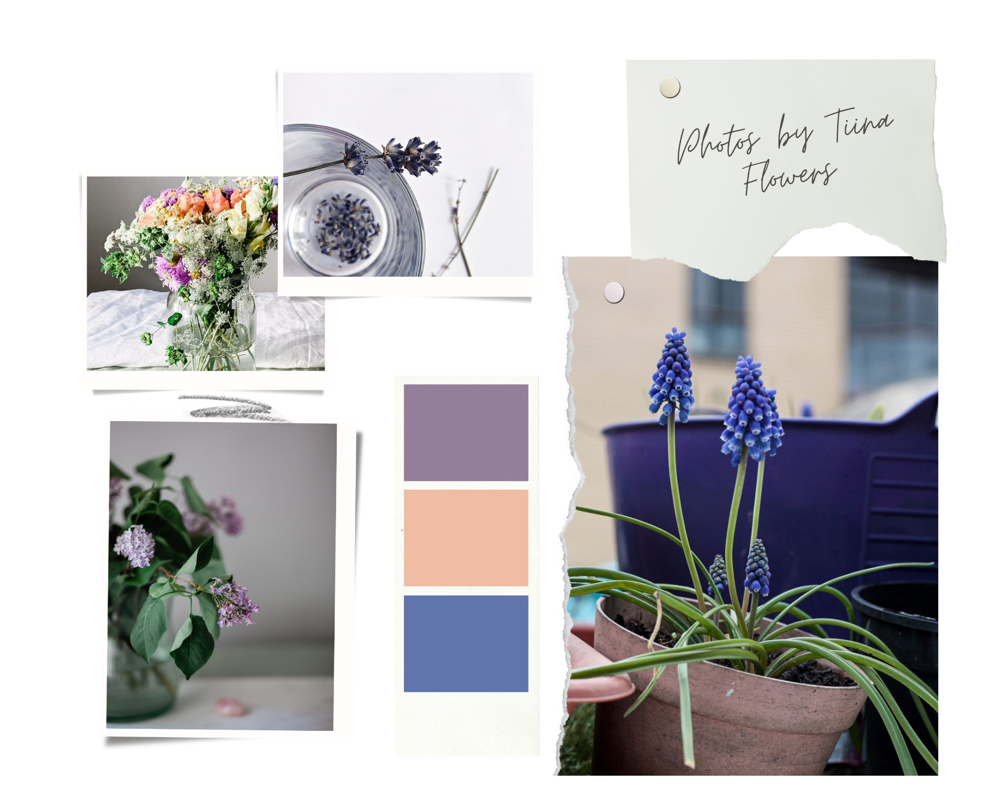 Flower_collage_3.png