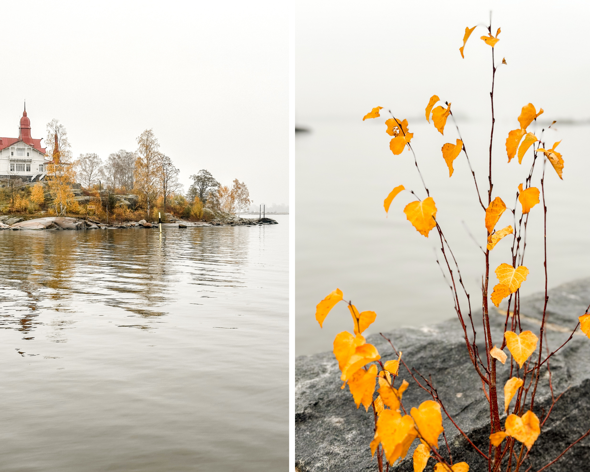 Helsinki_in_autumn_7.png