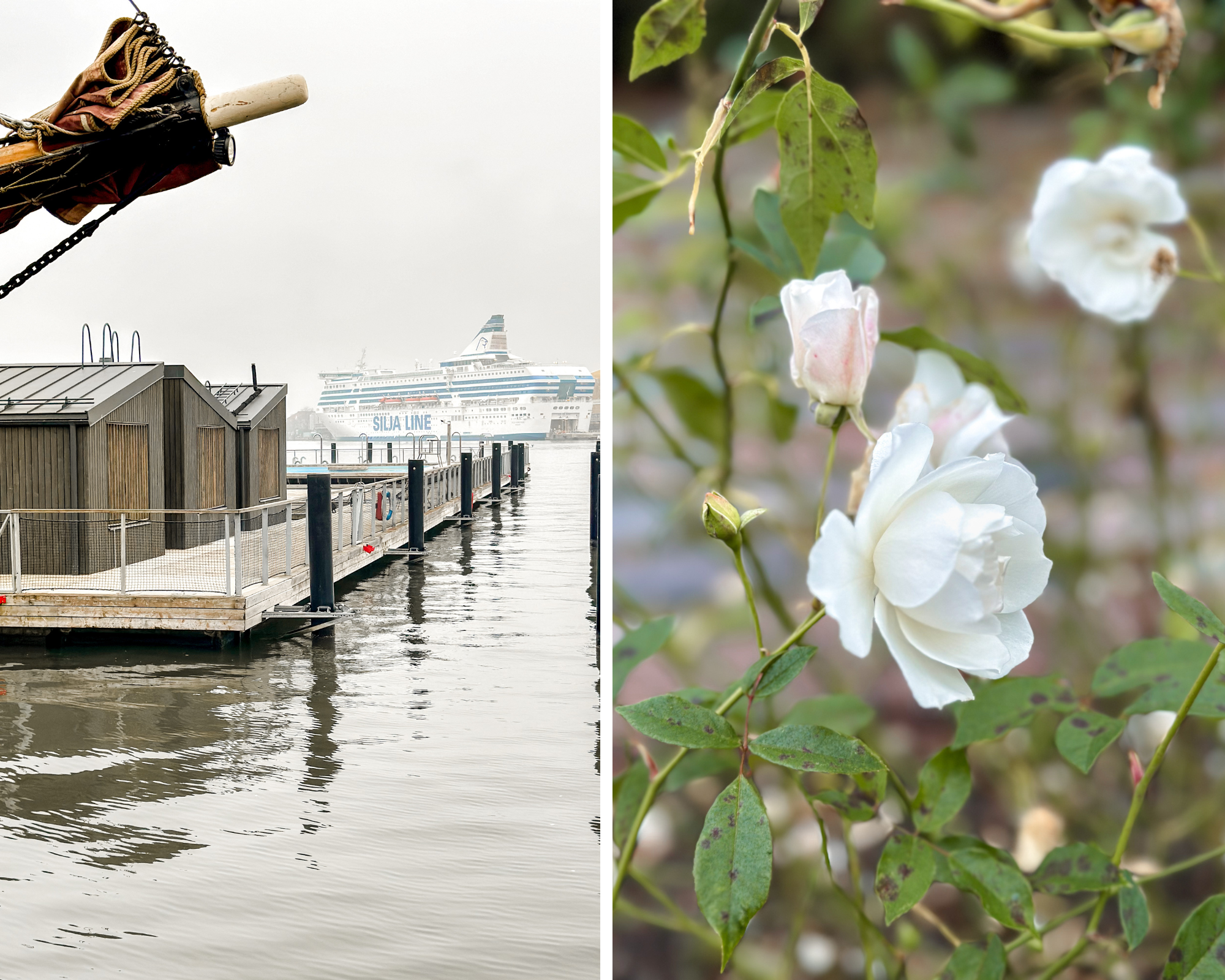 Helsinki_in_autumn_3.png