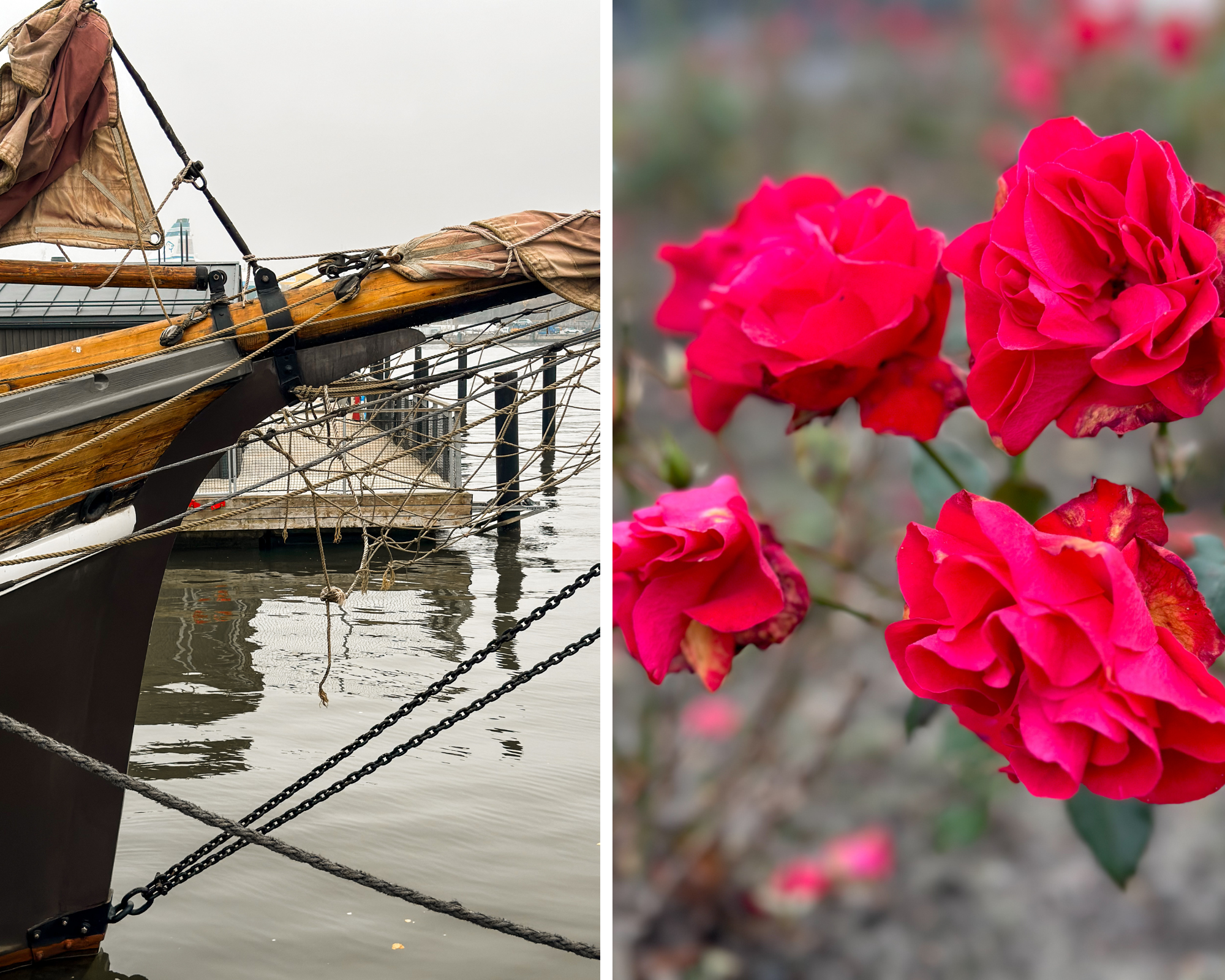 Helsinki_in_autumn_8.png
