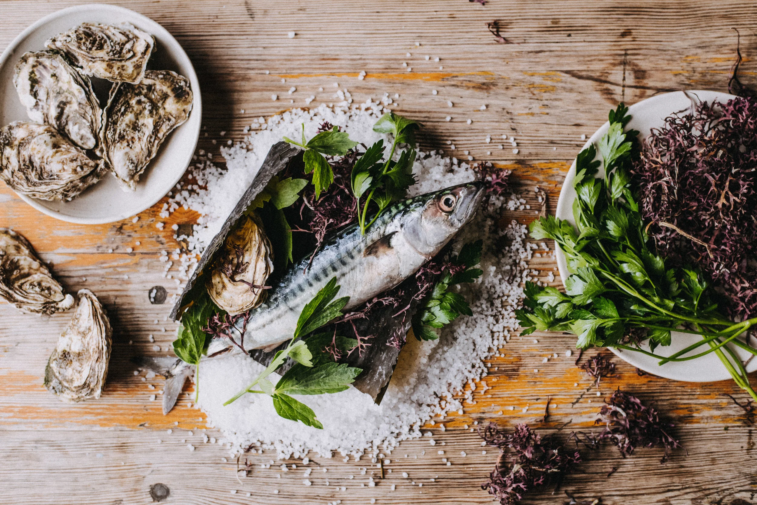 COOKING FROM THE COASTLINE