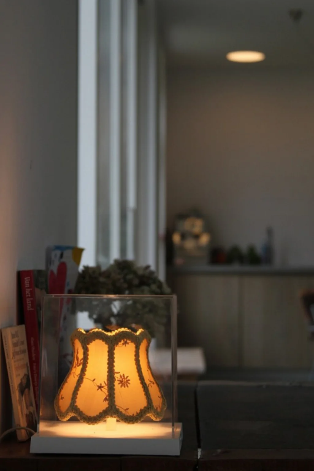 Anderlicht woonhuis Zuidhorn 2.jpg