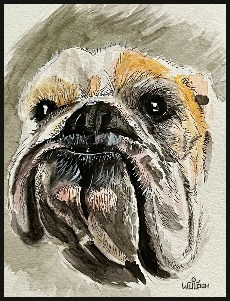 Bull Dawg (Watercolor)