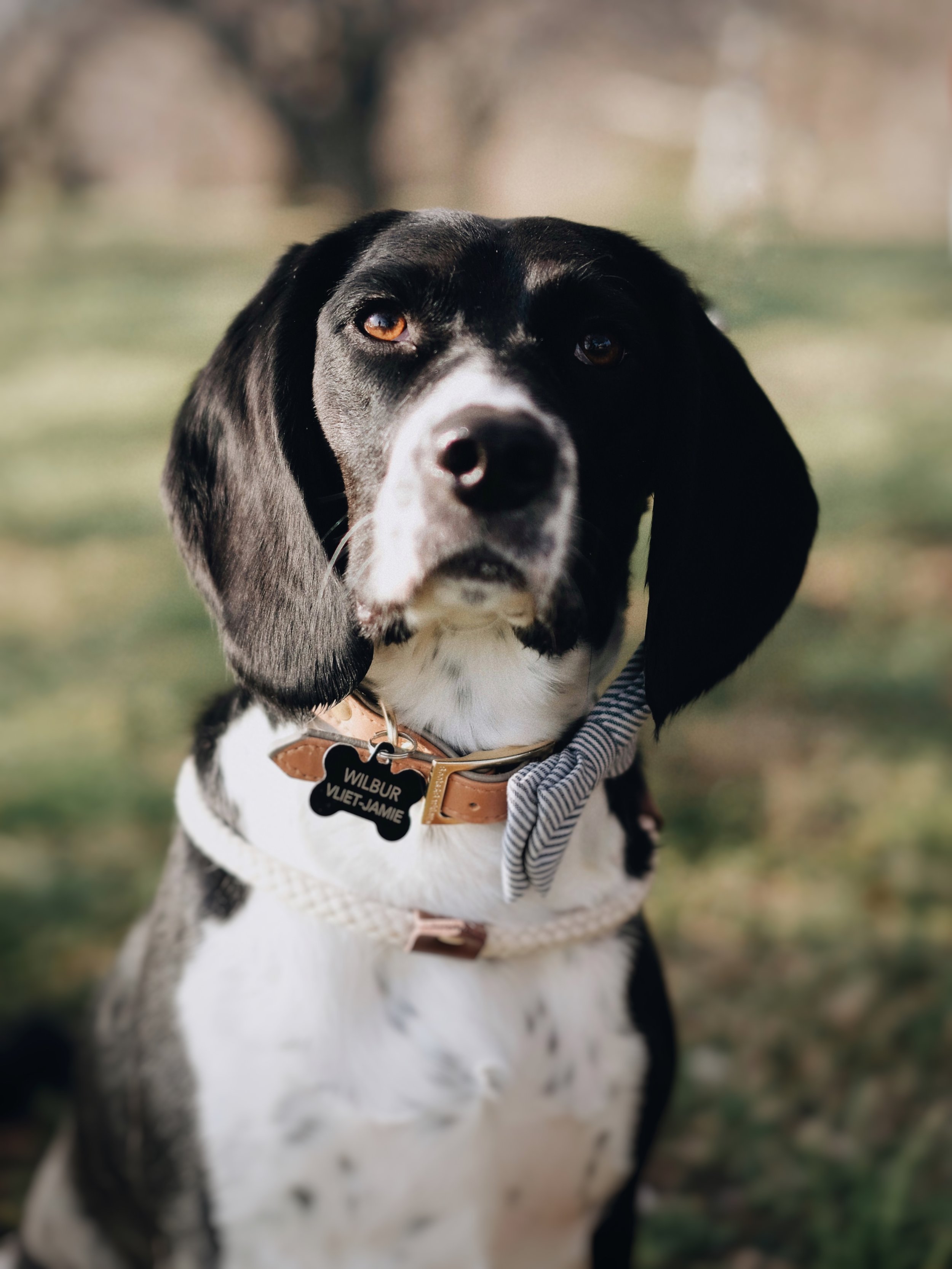 Processed with VSCO with a6 preset