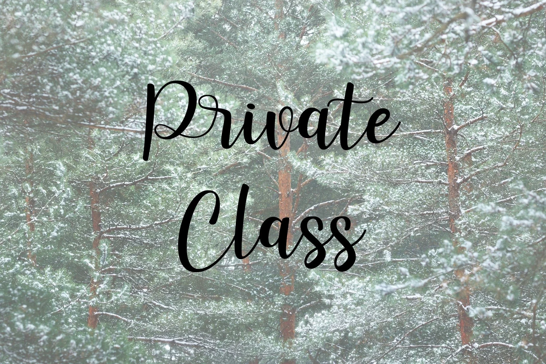 Private Class - DIY Dried Orange and Cinnamon Holiday Wreath