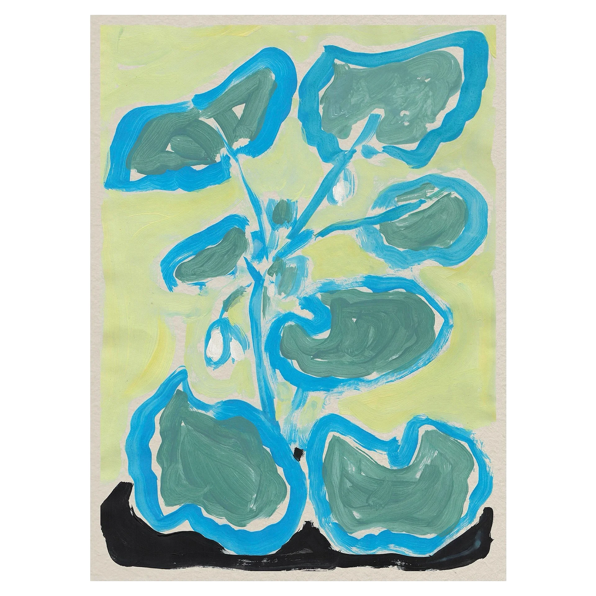 Pelargonium