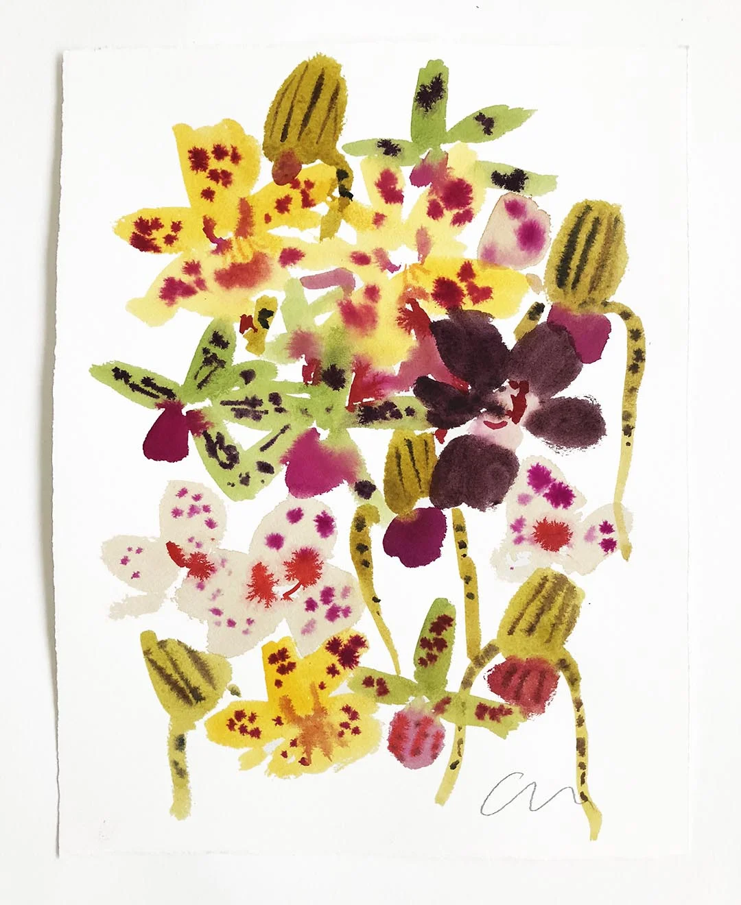 orchid2.jpg