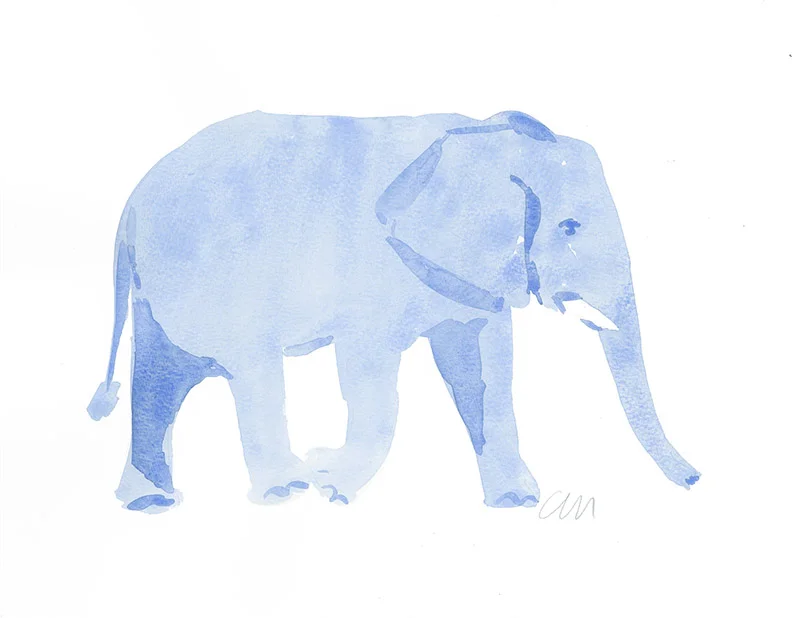 Blue Elephant