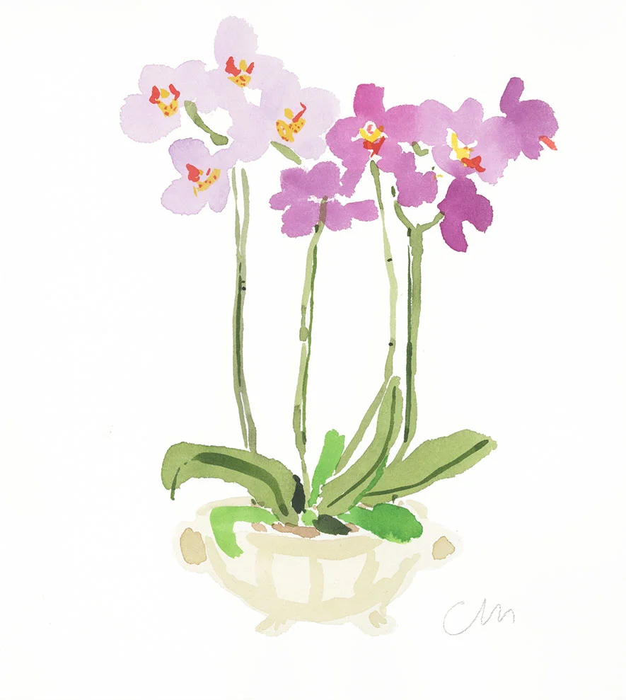Tall Orchid