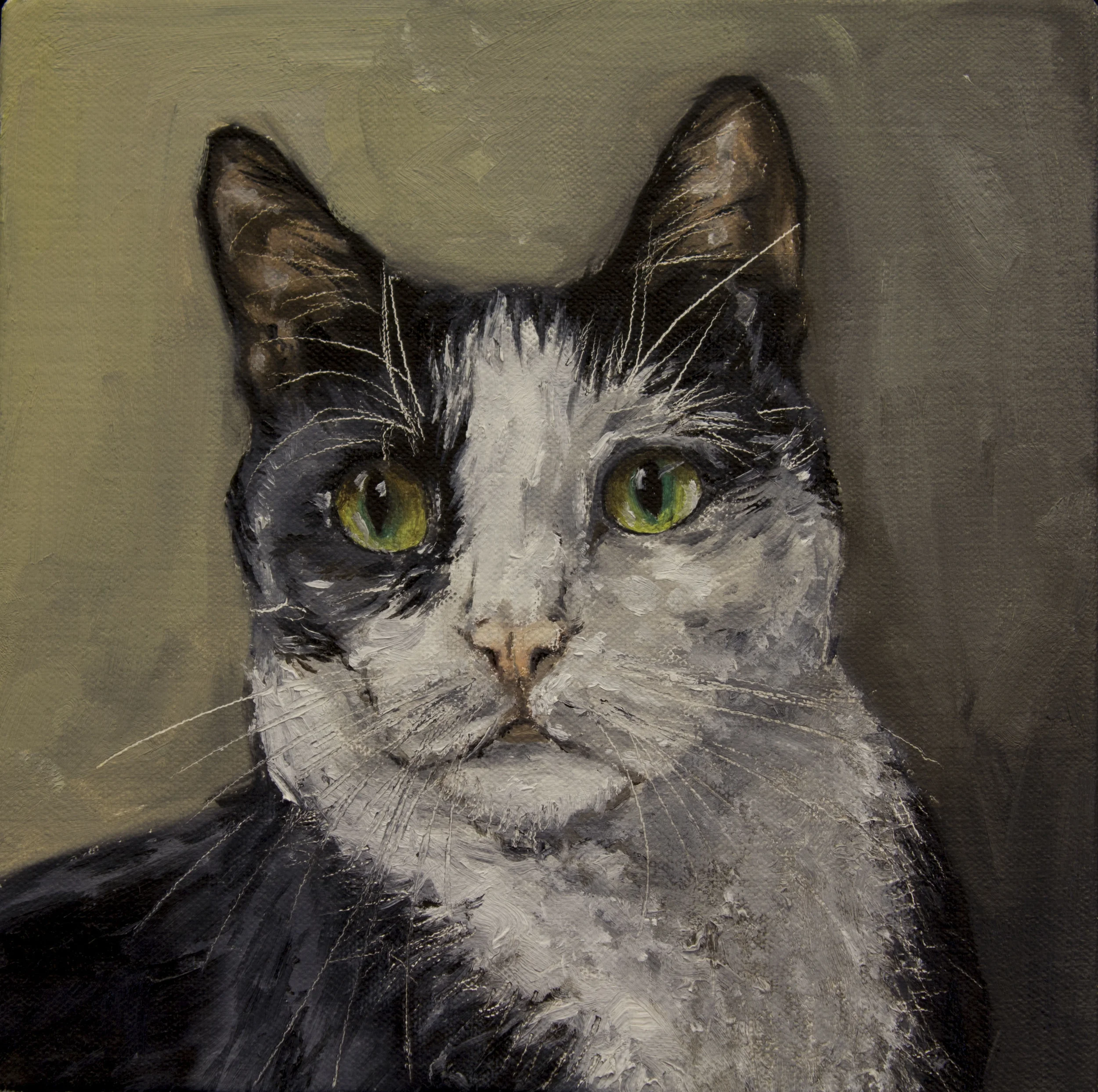 Tom (SOLD)