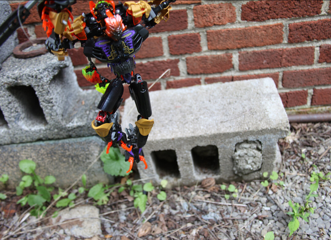 (Makuta falls from a shadow high up and lands next to a sculpture of some kind, slash marks mar the side of the dilapidated statue and it smells faintly of oil, a trail of it is seen heading further into the jungle…)