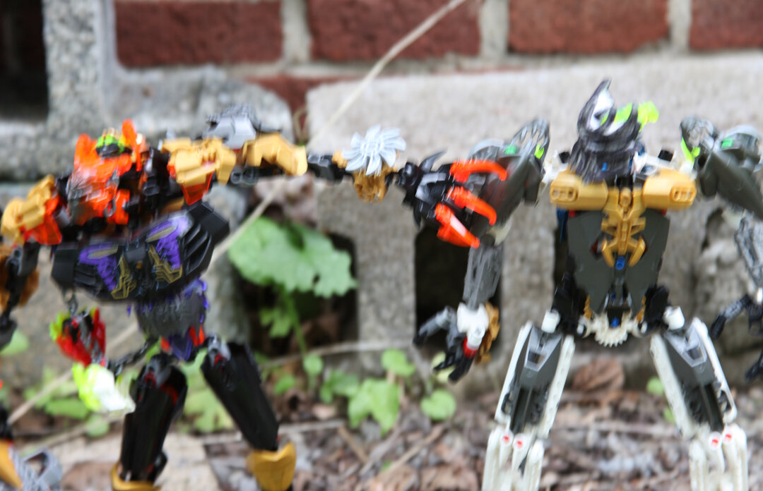 Artakha:”Another of Karzahni’s ‘chosen’? how many must he pull before-” (Before he can finish Makuta pulls him into the shadows inside the sculpture)