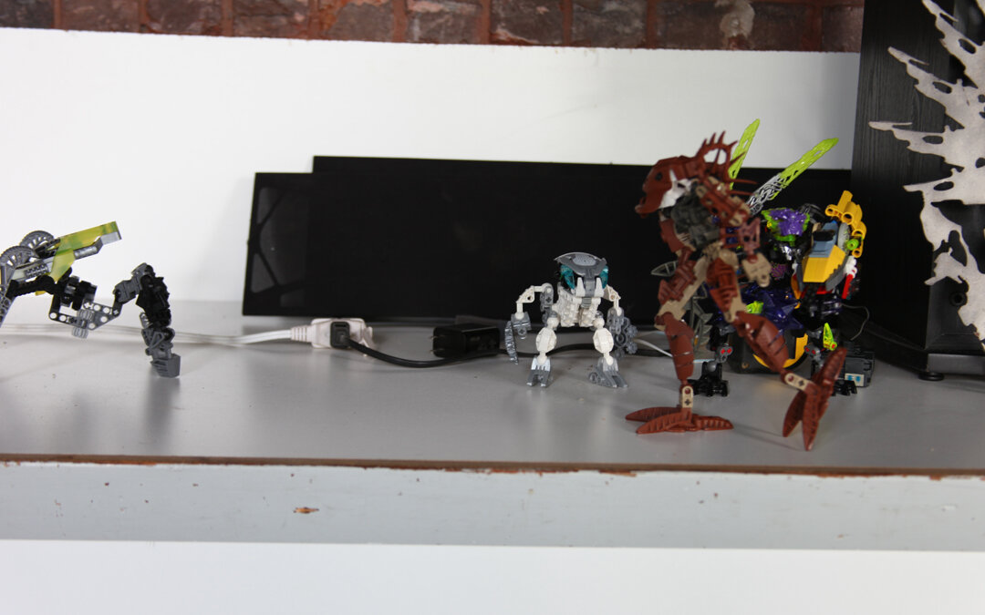 Avak:”He didn’t tell me that he wanted me to make rahi, I build weapons, vehicles and armor not stinking animals.”