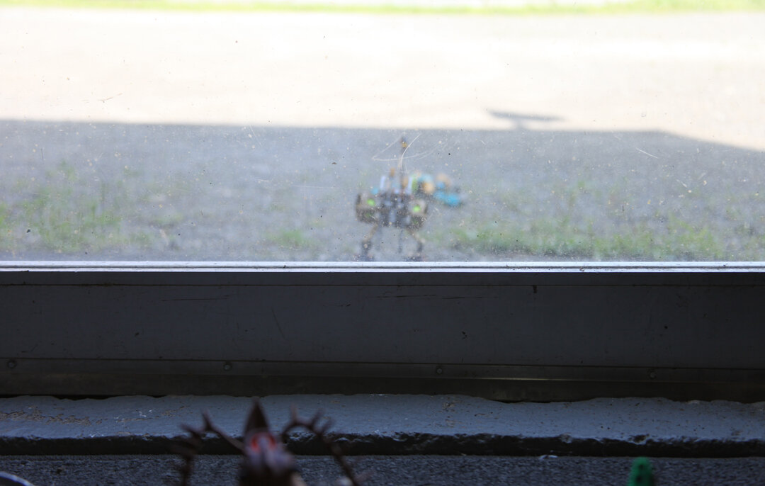 (A roar reverberates from behind the door as a miniscule figure emerges from the gate’s semi translucent surface)