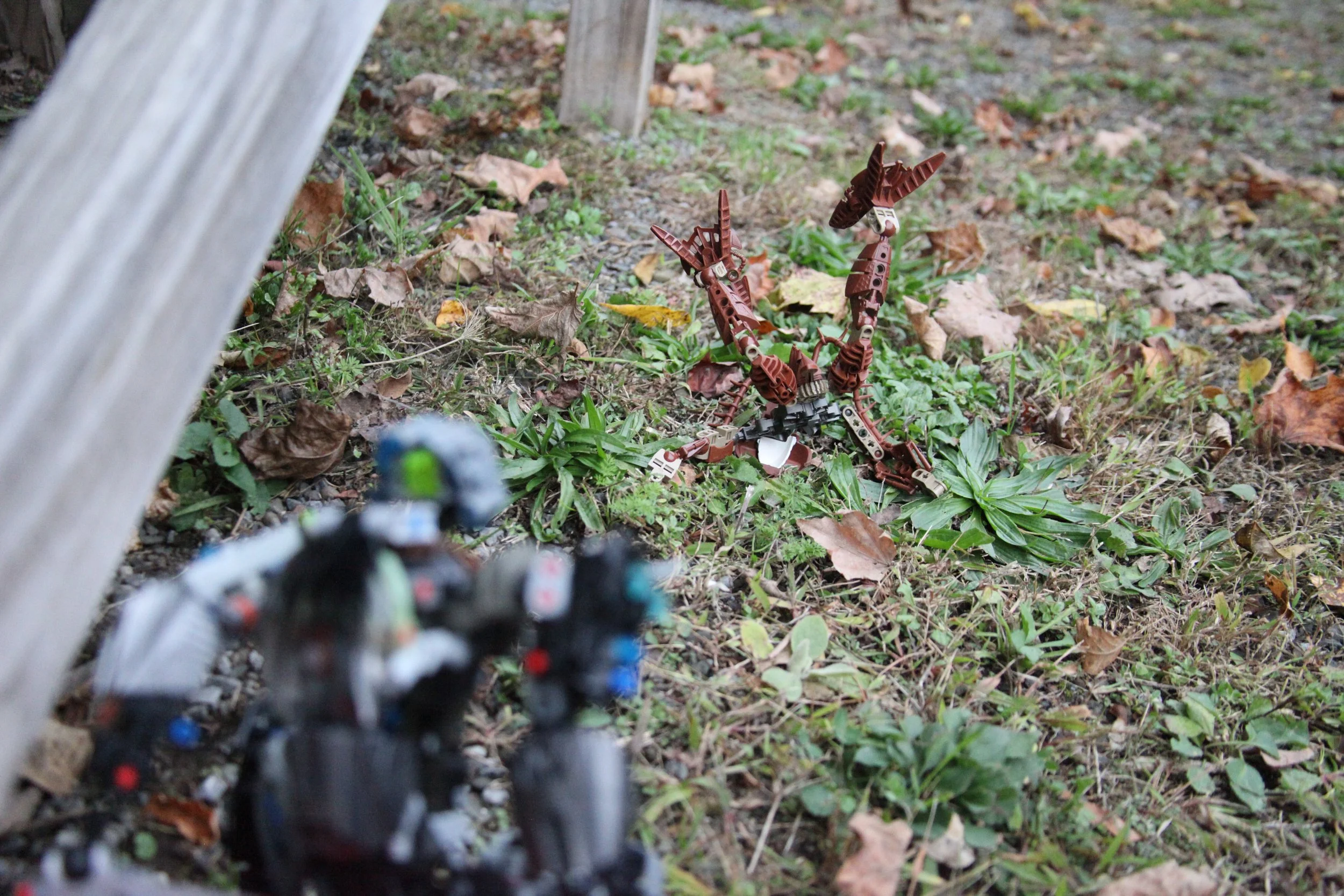  Sylus:”Alright pal you’ve…hold on who are you again?” 