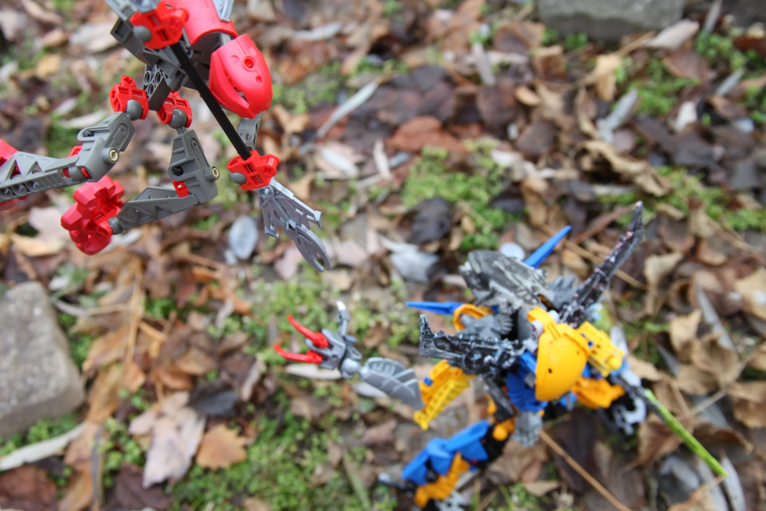  (However the Rahkshi ignores his commands and lunges with vicious intent) 