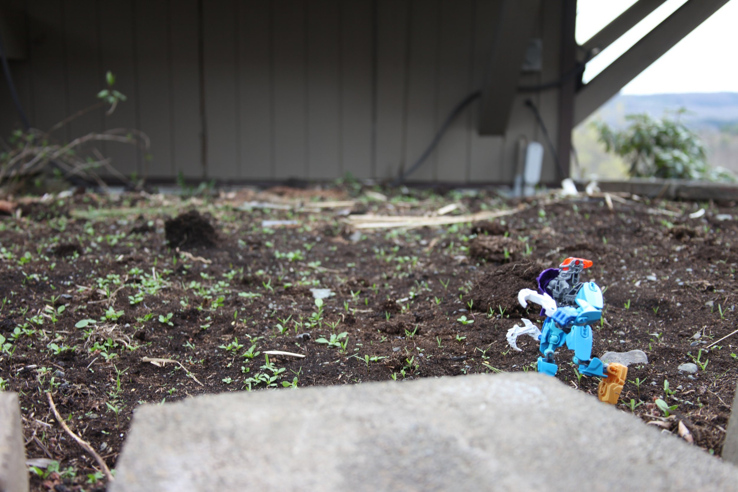 "You need to play along in the Pretender's game for now until I can devise a solution to help you."