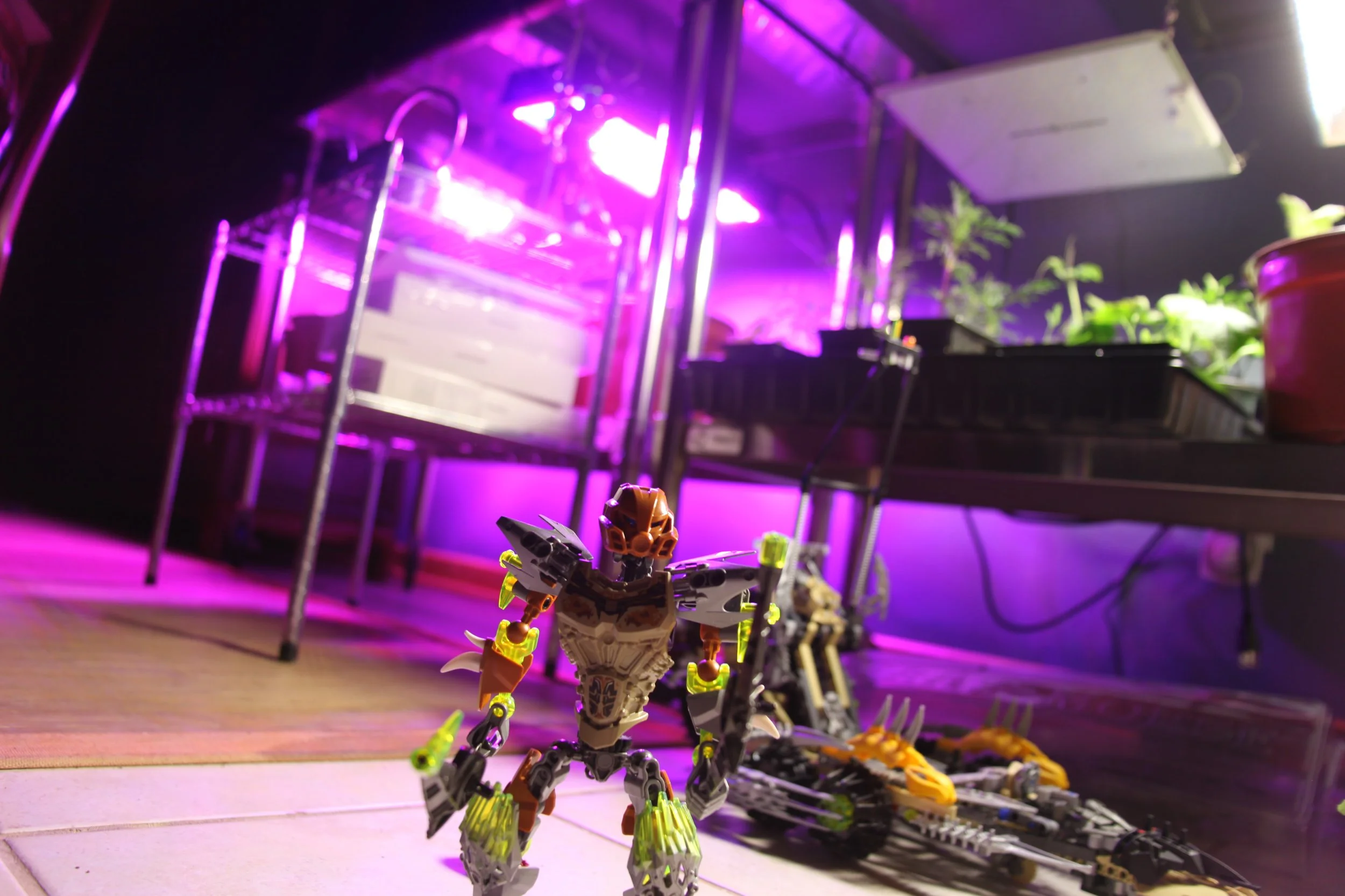  ???:”Turn around nice and slow, these arrows can puncture your armor faster than you think you can block, so don’t even try it.”   Dodge     Try to Parry  