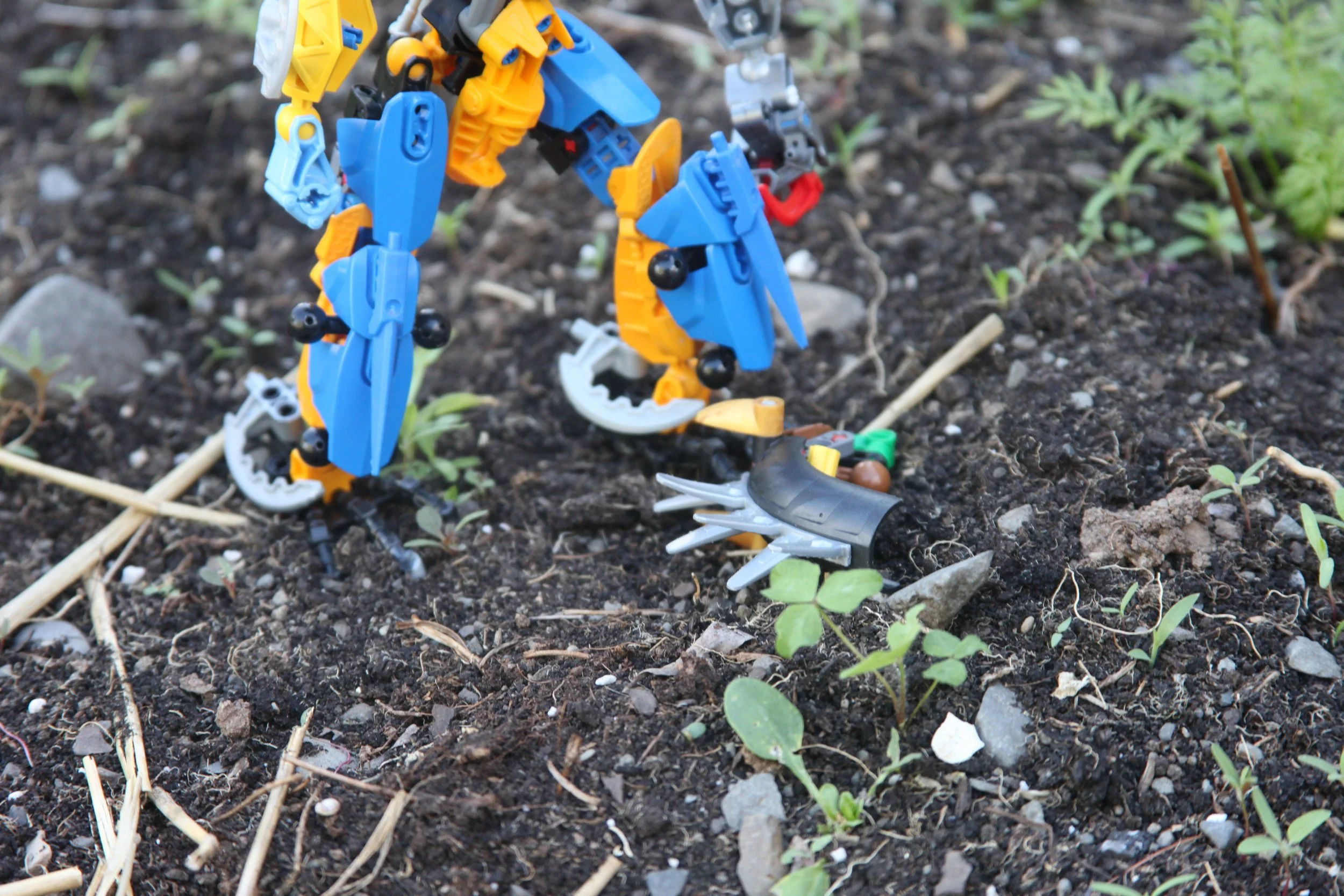  Nepharus:”Huh? a head? why do I feel so…compelled towards it?” 