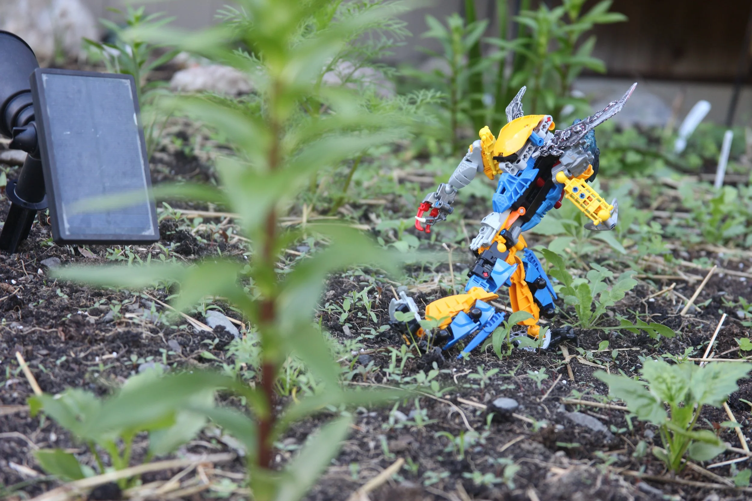  Nepharus:”I must not be delayed any longer!” 