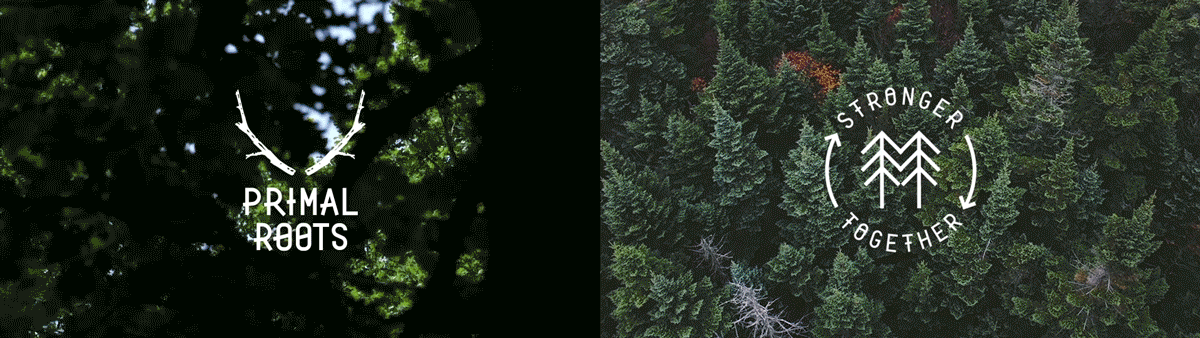 03_Lantern_Primal_Roots.gif