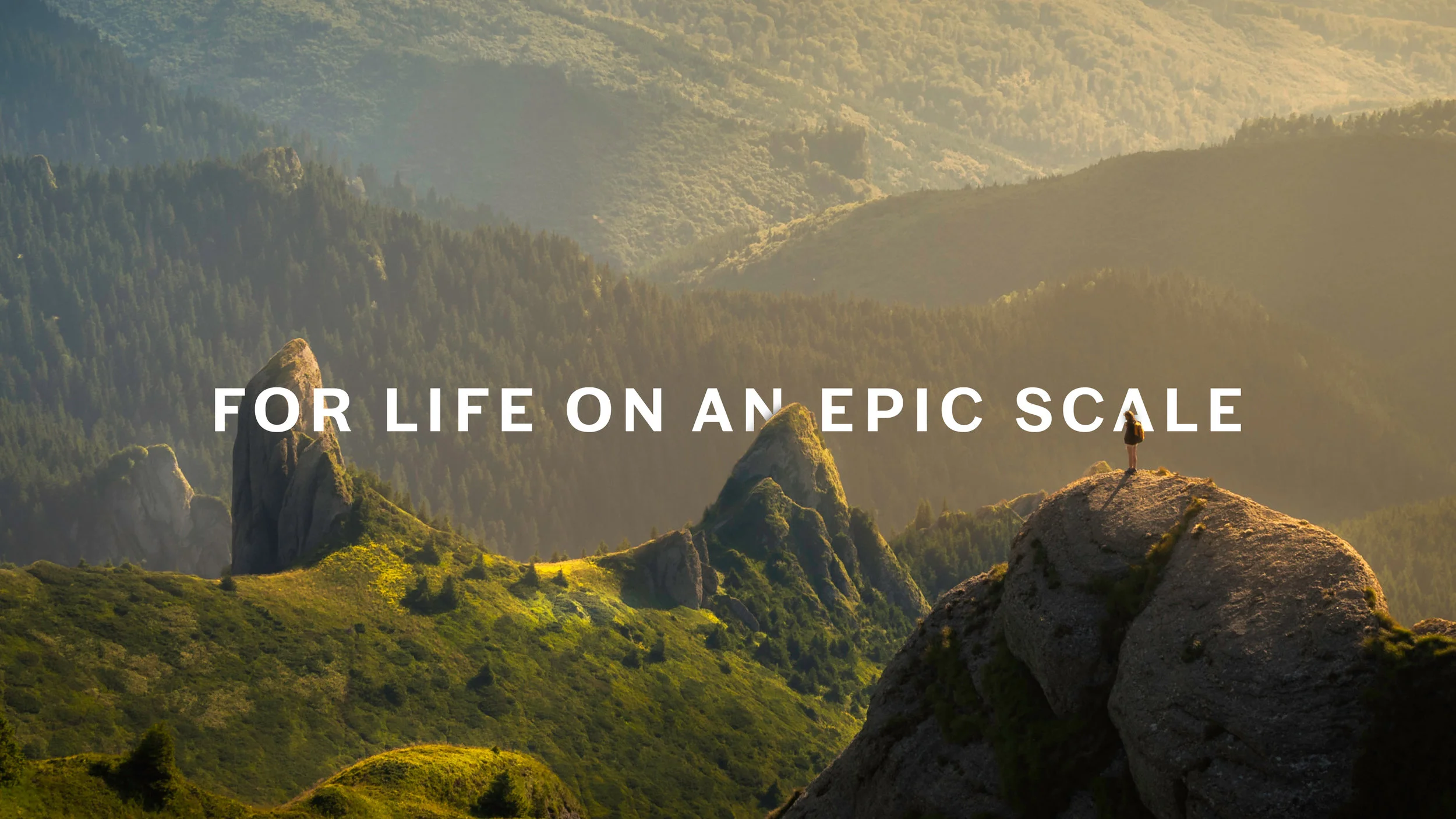 Primephonic_Strapline.jpg