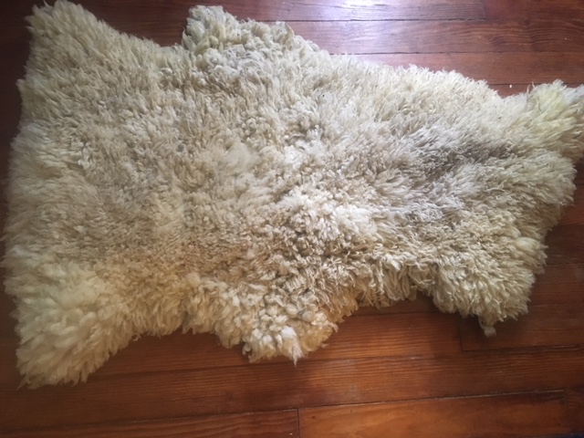 sheepskin rug .jpg