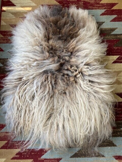 beauty+sheepskin.jpg