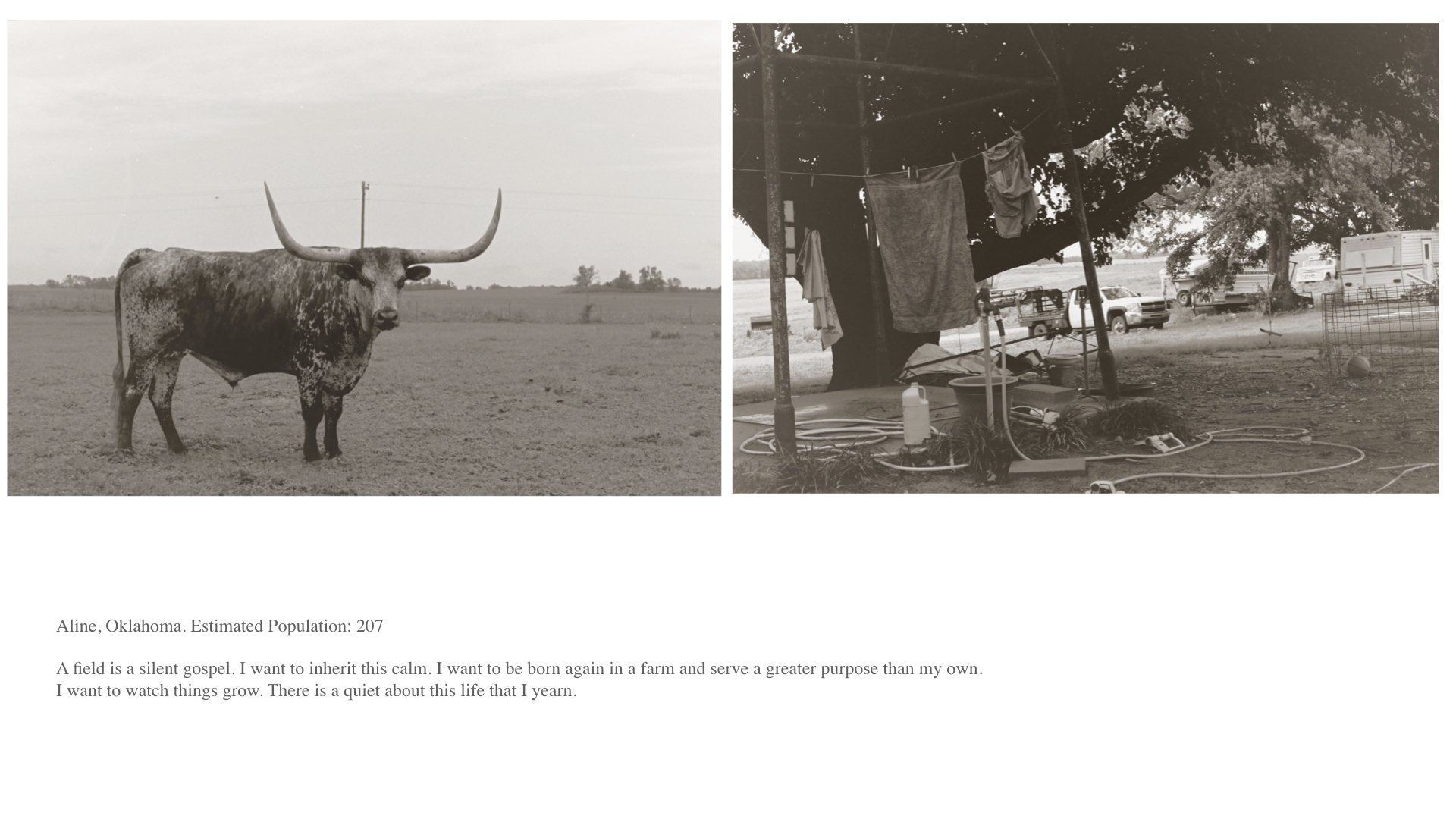 Diary of Light.023.jpeg