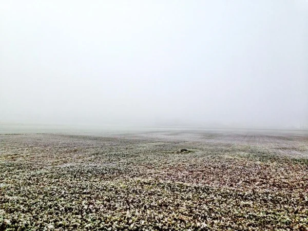 ...FINDING AGAIN THE HORIZON...