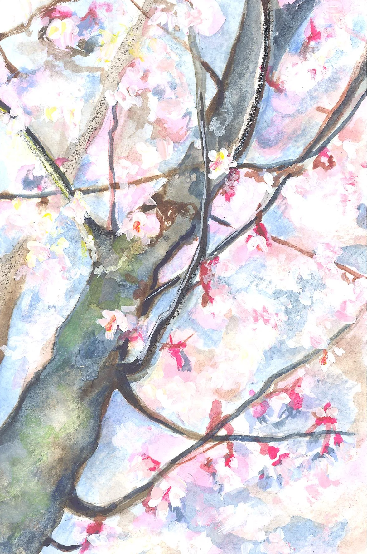 spring tree 001.jpg